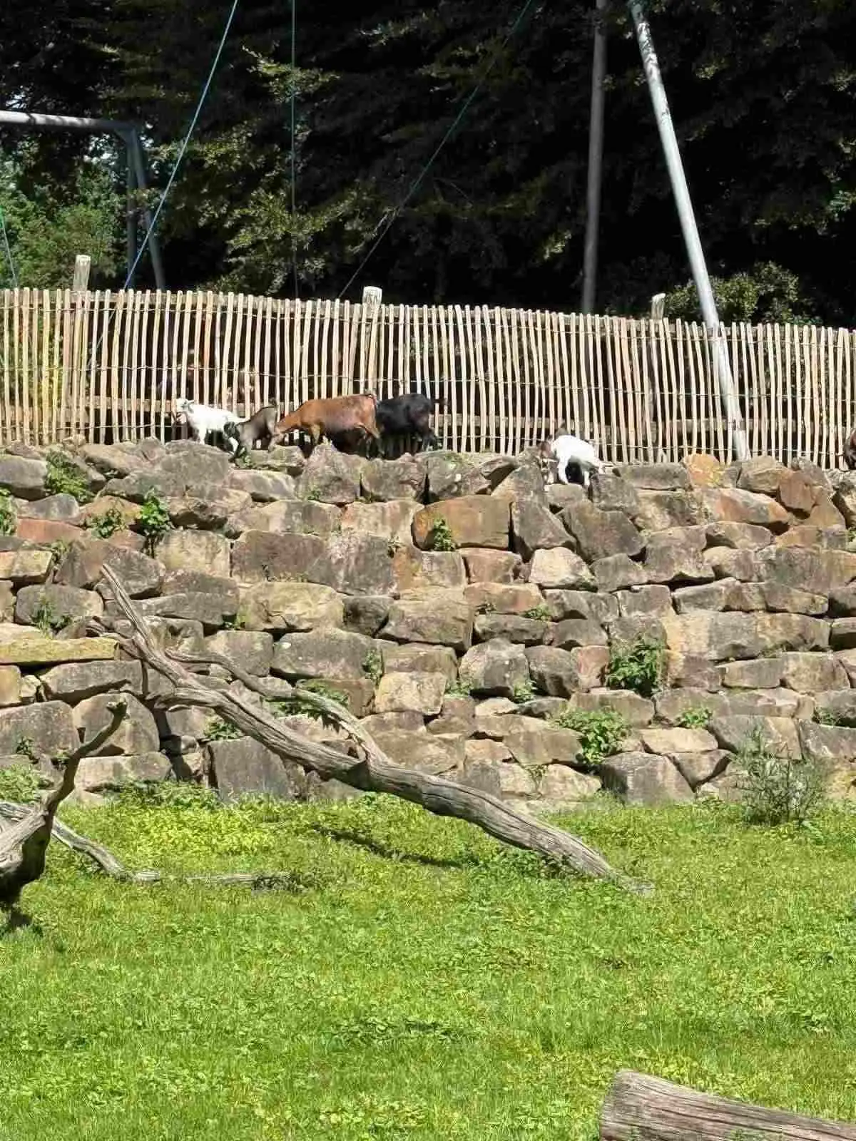 image139.jpg