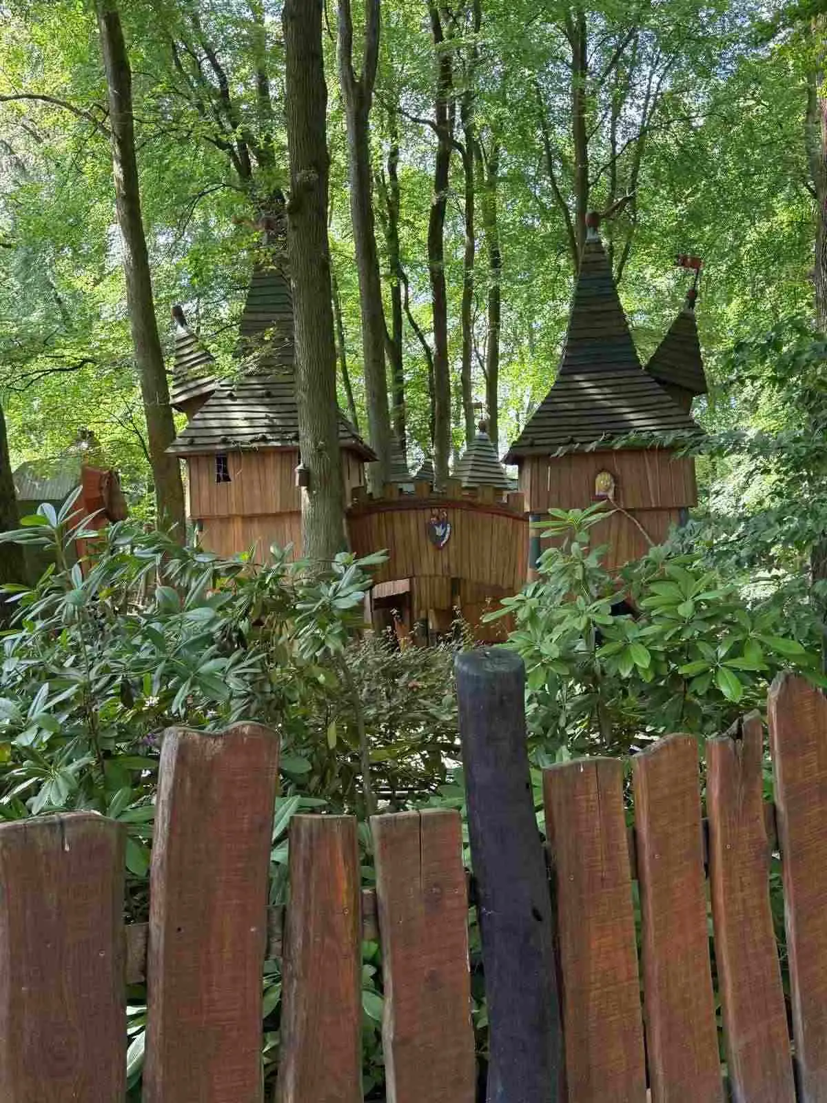 image148.jpg